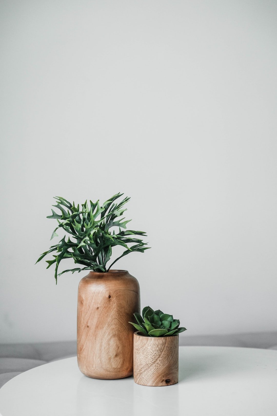 green plant on brown wooden pot